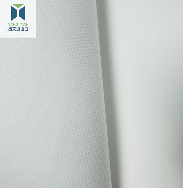 China Polyester Canvas,Colored Canvas Fabric,Outdoor Canvas Fabric