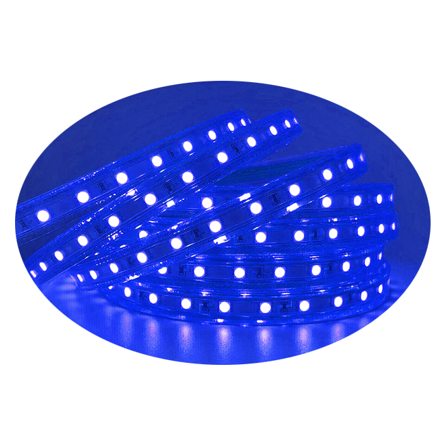 blue led rope lights 120 volt