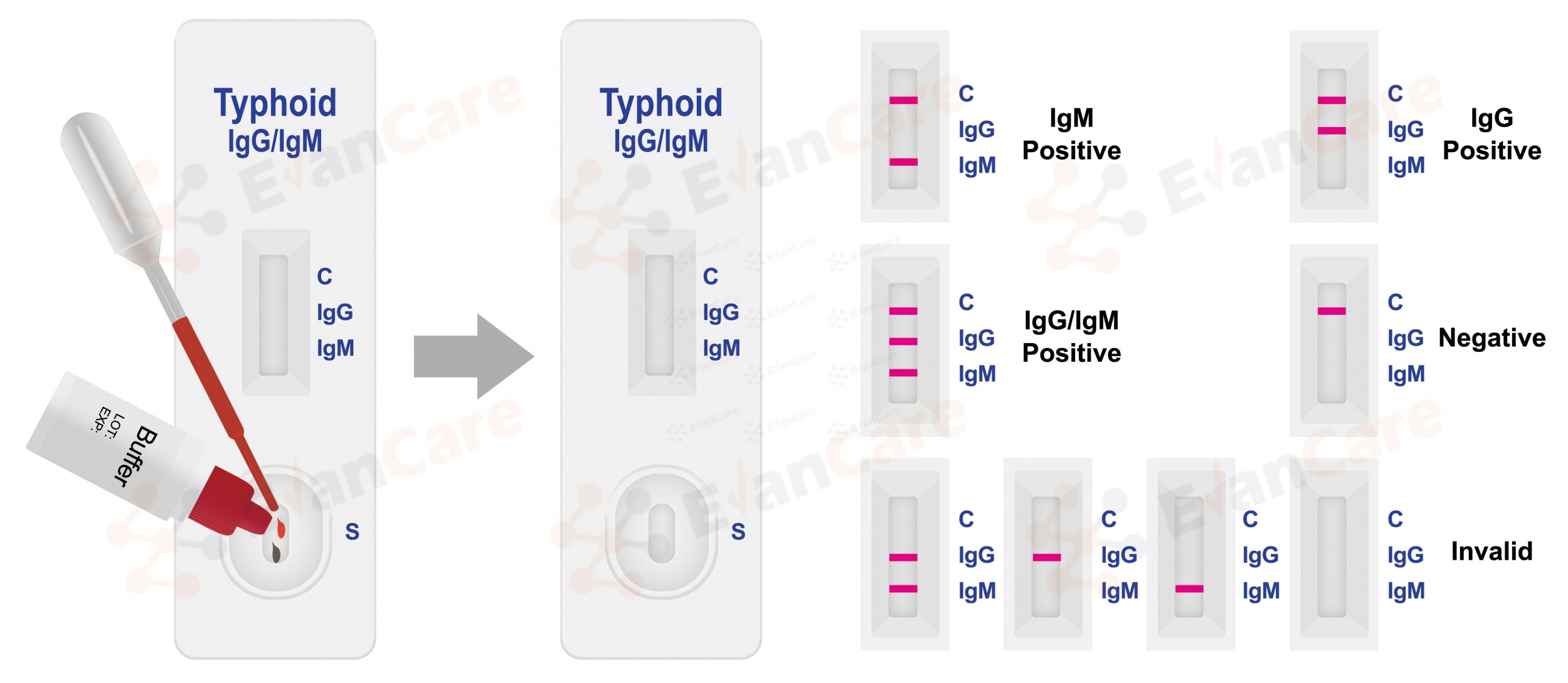 Women's Health_Infectious Disease test_Drug of Abuse-Evancare Medical  (Nantong) Co.,Ltd