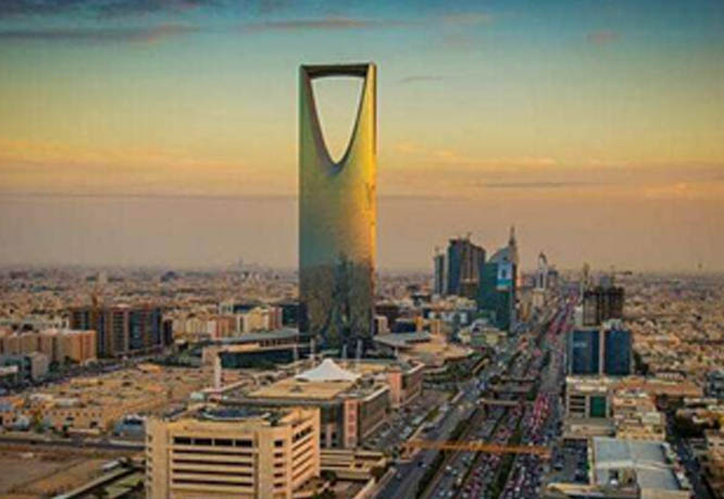沙特將醫療納入“2030愿景”或...