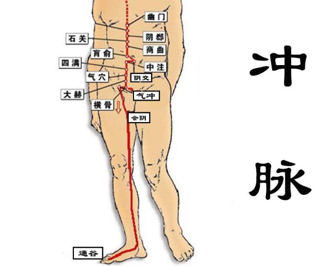 冲脉3D动画循行图图片