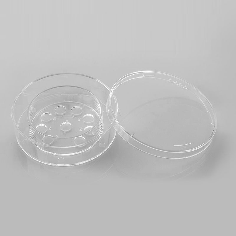 囊胚培養皿