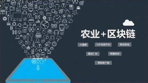 智慧农业模块——江南市场进口水果...