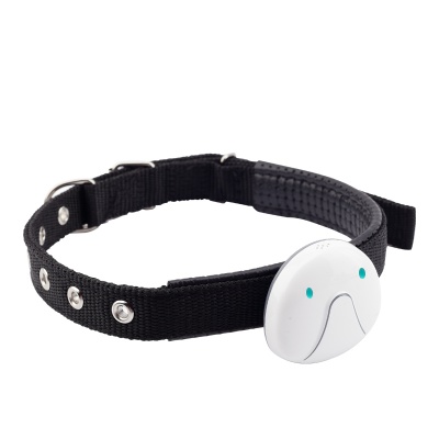 Gps Smart Dog Activity Tracker, confezione da 2, mini animale gatto cane Gps  tracker pet